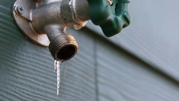 Best Affordable Plumbing Services  in Hamlin, WV
