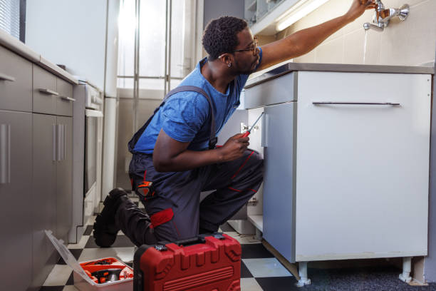 Best Local Plumber Services  in Hamlin, WV
